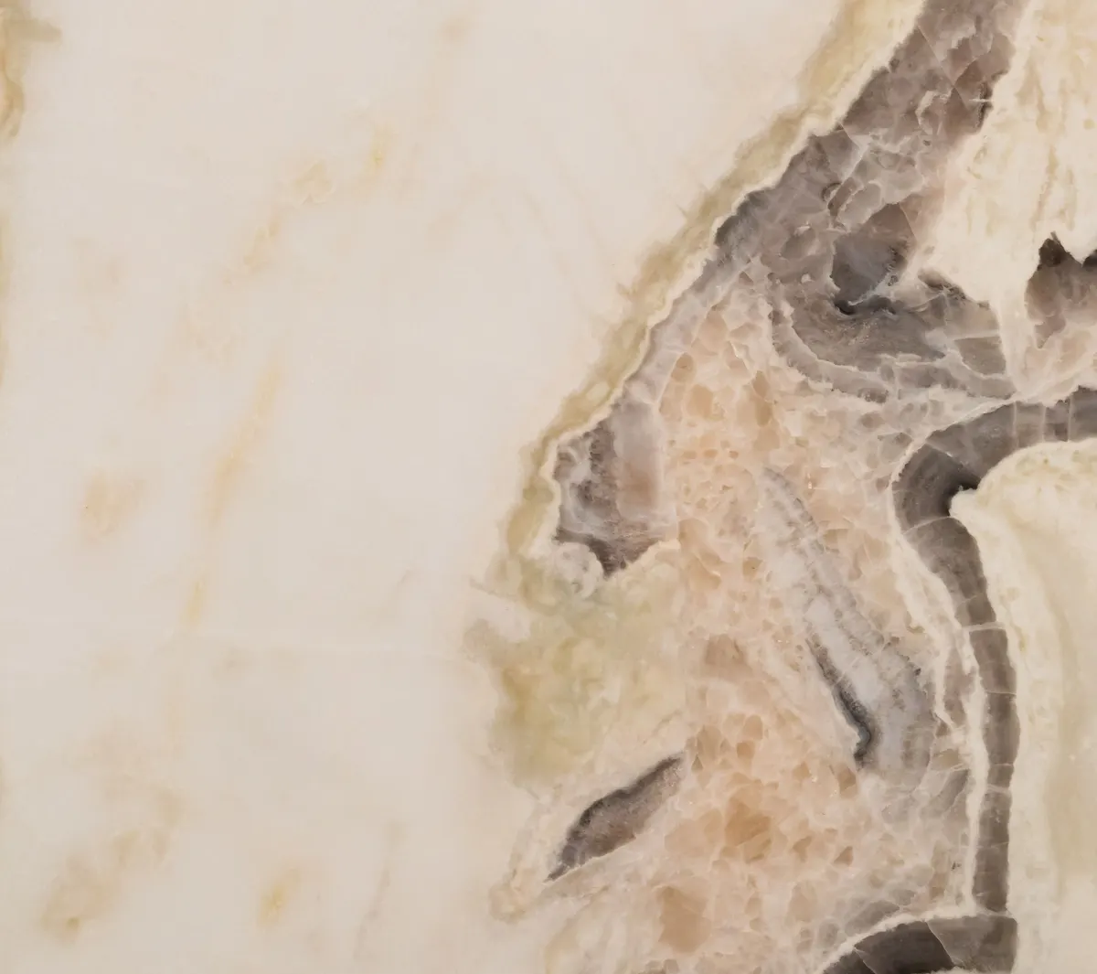 Quartzite countertop surface
