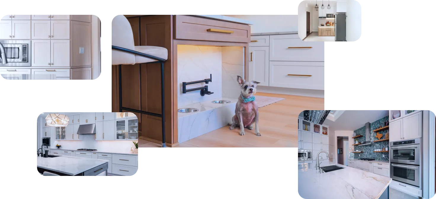 doggie cantinas, cabinet iq
